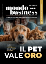 mondobusiness